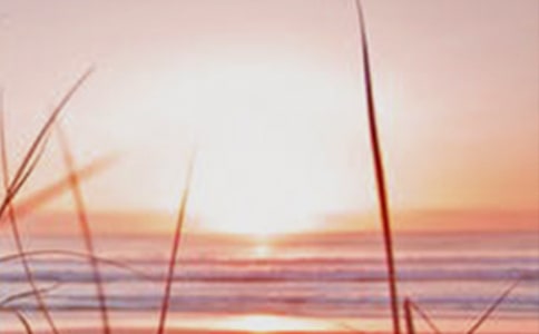 ������֪ͨ �̰���ѧ���