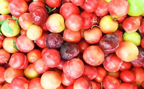 �����ӵĺˡ�˵�θ巶��