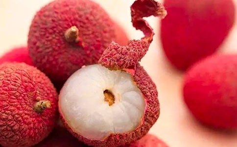 ������������֦�����̰�