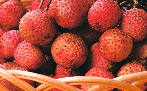 ���������ʻ�����--�ɡ���֦�ۡ�˵��ȥ(��������)