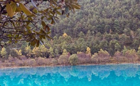 ���������ųǵĵ��δ�