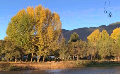 �����ųǵ��δ�4ƪ