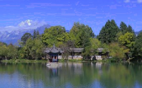 �����ų������ĵ�