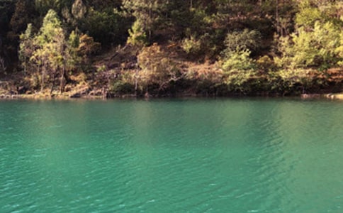 ���������ųǵ��δʾ�ѡ15ƪ