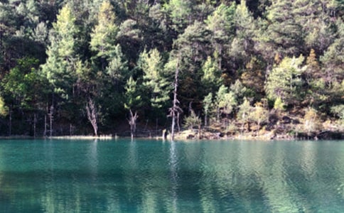 《走进丽江》教案