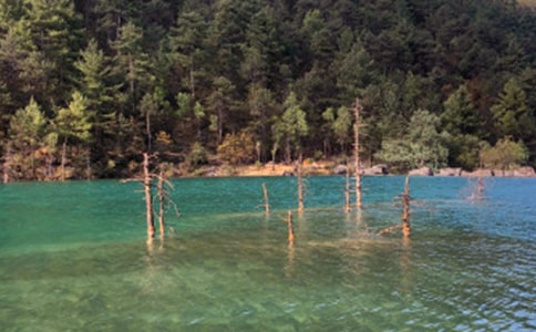 �����ųǵ��δ�(15ƪ)