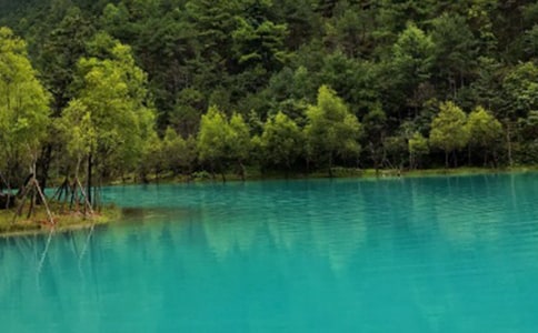 �������ξ��㵼�δ�