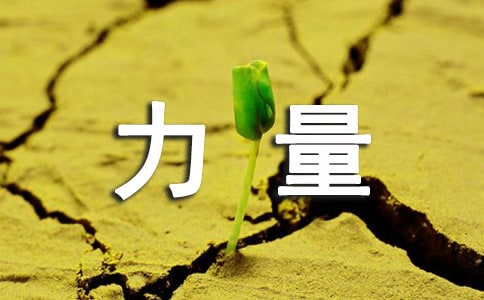 ΢��ᡶ�Ž����������ʵ¼ (��һ)