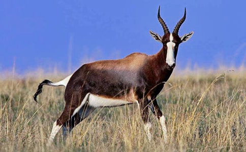 ����ľ���һ��ʱ�̰�(�˽̰����꼶����) �̰���ѧ���