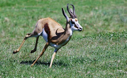 ����ľ������[�Ƽ�]