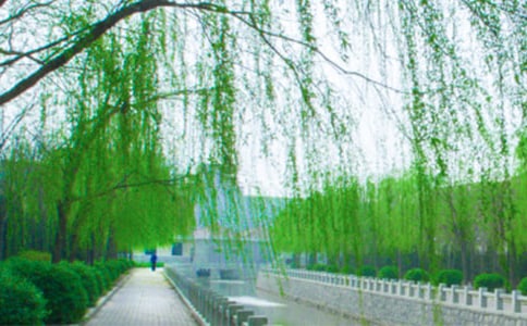 ���������ѧ��˼