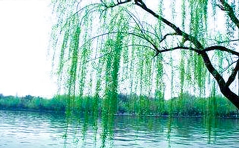 ����Сѧ����