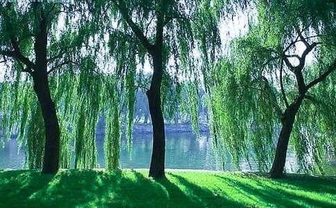 ʵ�õ��������꼶���Ľ���6ƪ