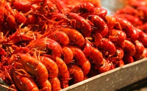 ����Ϻ���������꼶