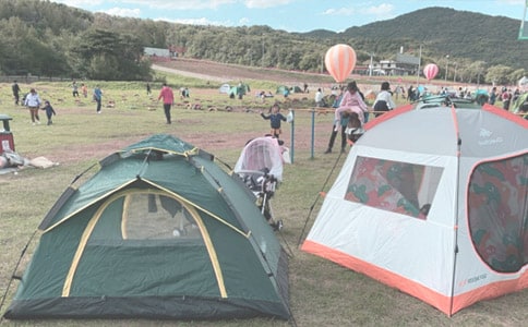 һ��ȥ¶Ӫ������̰�