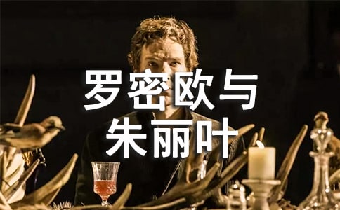 罗密欧与朱丽叶(教师中心稿) 教案教学设计