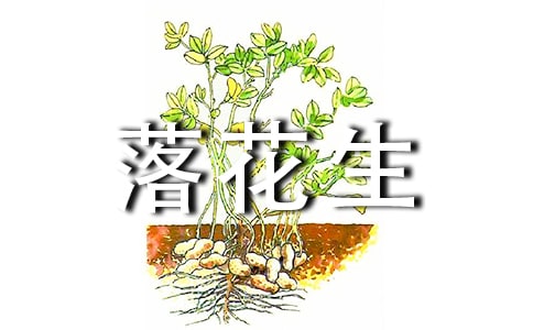 五年级语文《落花生》教学反思