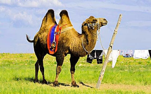 �����ո�����ѧ��˼