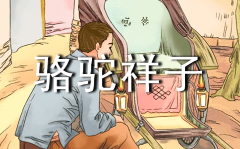 ���������ӡ����������ν�ѧ���(�˽̰����꼶�²�)