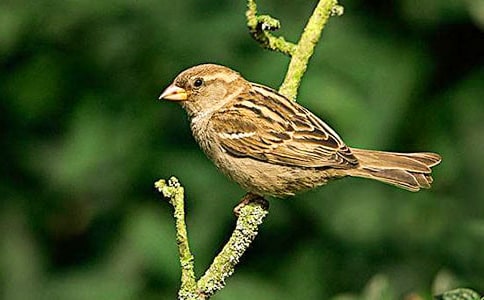 С��ȸ �̰���ѧ���