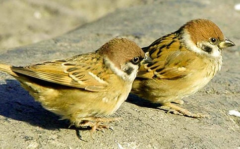 С��ȸ�̰�����