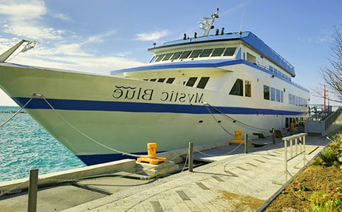 �ۿڻ�����ͷ���ƹ��̺�ͬͨ��