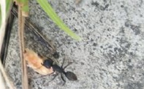 �����ϴ�ս������������ʿν̰�