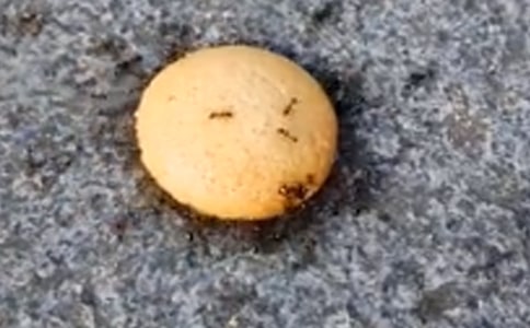 ʵ�õ������ռ����ļ���9ƪ