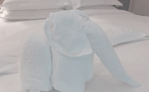 С���������̰���Сë�����̰��뷴˼