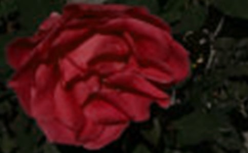 向晚的玫瑰云 现代文阅读练习及答案