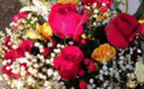 《夏日里最后的玫瑰》说课稿