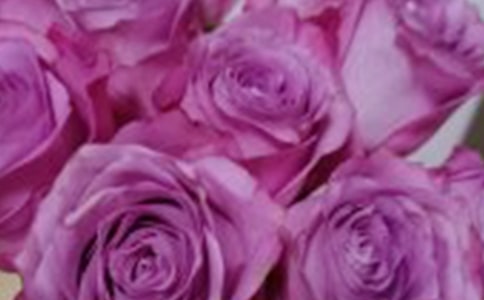 ����õ�壬�������� --ѧ���ƴ����ˣ��������� �������(��һ)