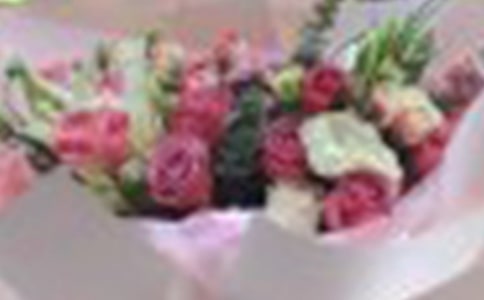 小学写花玫瑰花的日记