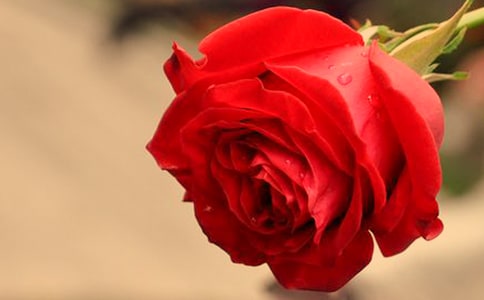 �����Ĺ�أ�����õ��