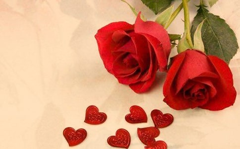 玫瑰的作文三年级