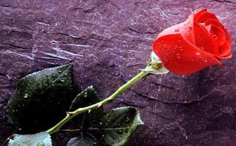 õ��Ů����ײ�Ů��