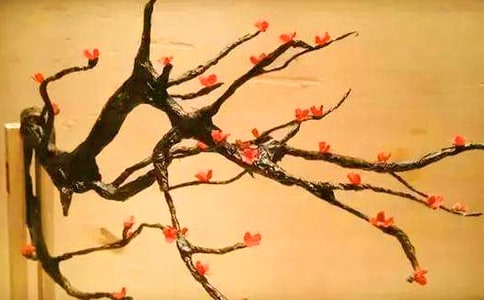 ��÷��д�������˵�����