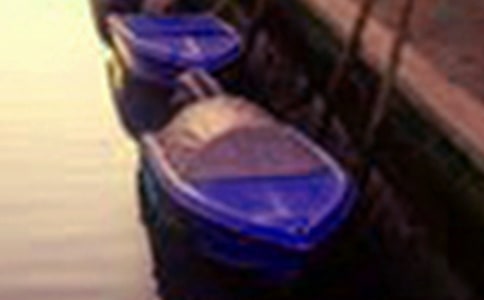 乡村美景小学作文锦集十篇