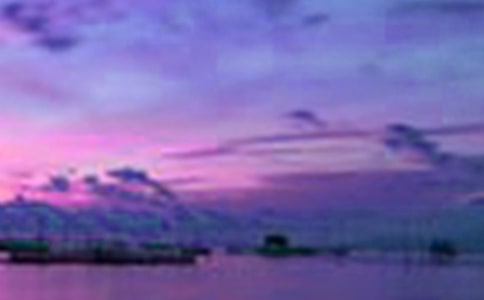 ���Ƽ����������Сѧ���Ľ���5ƪ