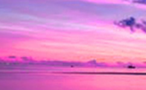 �й��������Сѧ���ĺϼ�7ƪ