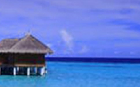 ��ѡ�������Сѧ���Ļ��8ƪ