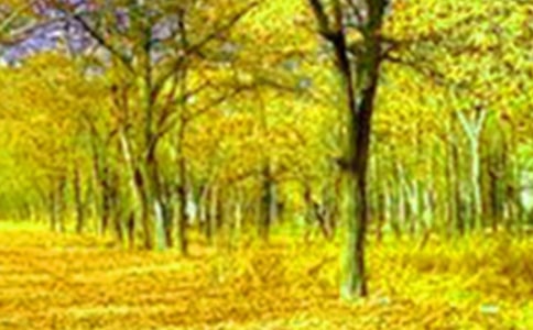 �й��������Сѧ���Ľ�����ƪ