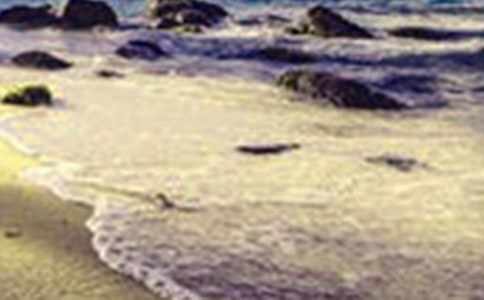 �������д������9ƪ