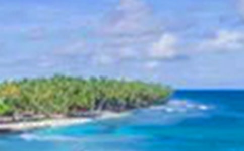 实用的乡村美景小学作文合集五篇