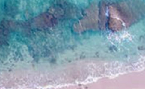 乡村美景小学作文汇总七篇