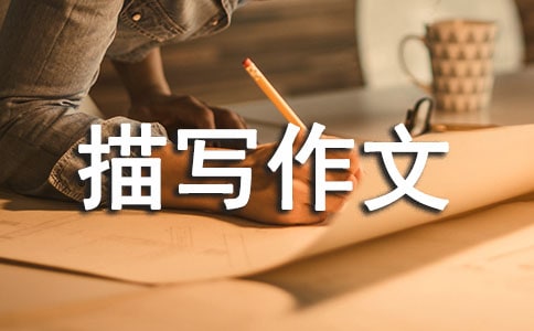 有关高中细节描写作文3篇