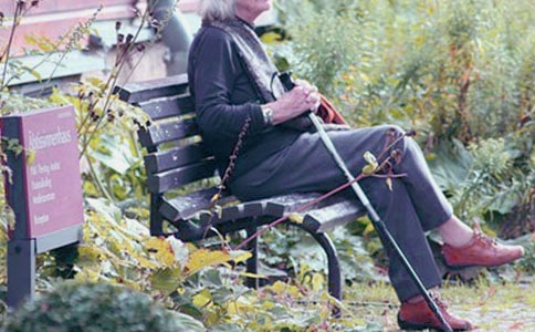 ��ʵ�á��ҵ�����Сѧ����400��4ƪ