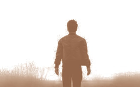 我们家的男子汉(苏教版七年级必修) 教案教学设计