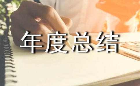 活动类年度总结报告