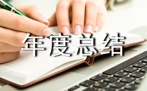 个人年度总结
